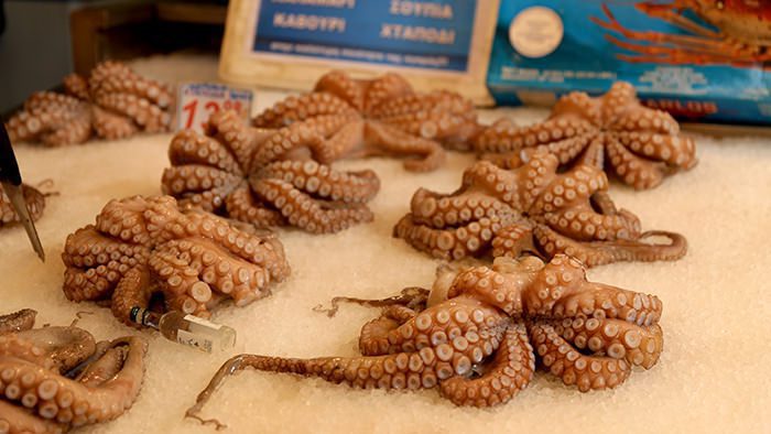 Octopus_raw_classic and traditional greek dishes