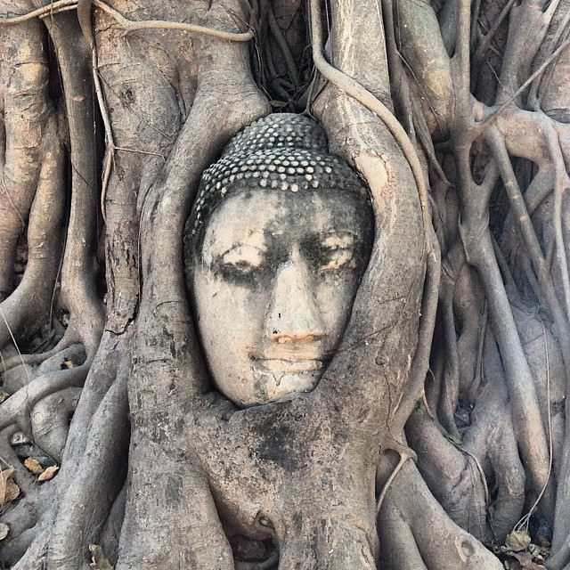 Ayutthaya_Thailand_Buddha