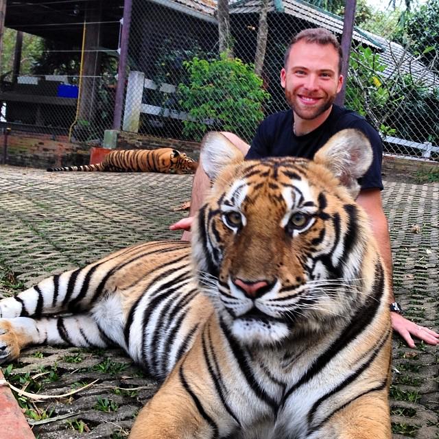 Chiang_Mai_Thailand_Tiger_Kingdom