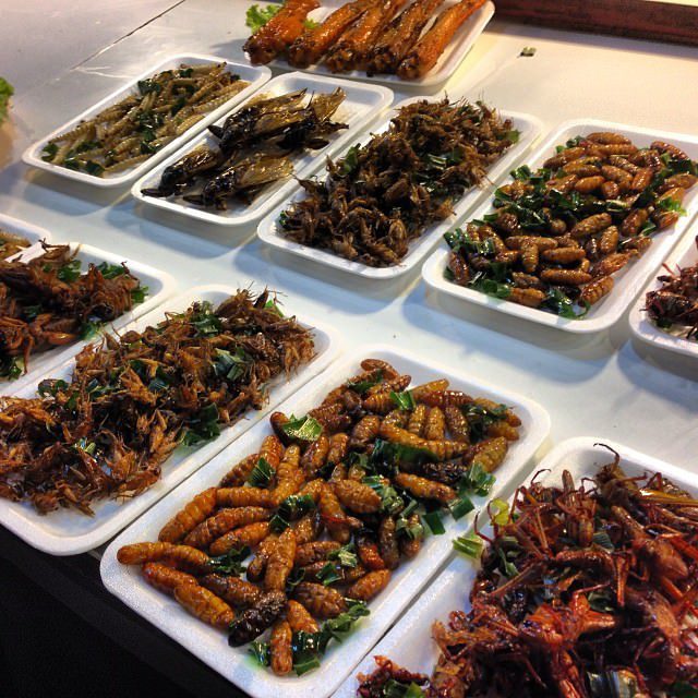 Chiang_Rai_Thailand_Night_Market_Bugs