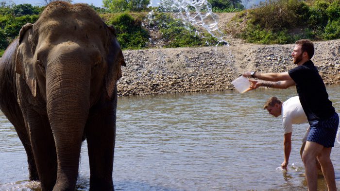 elephant-nature-park-bathing-davidsbeenhere