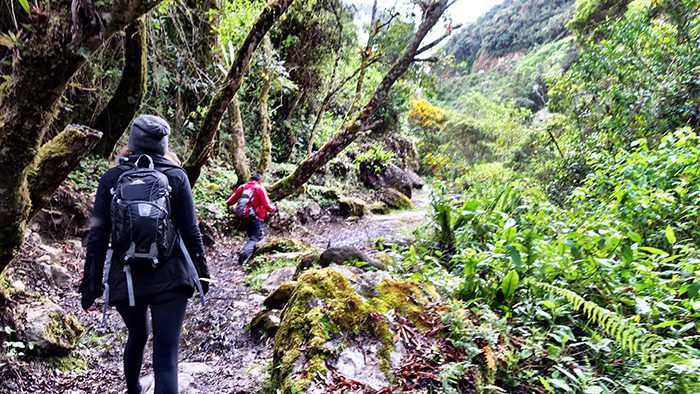 7-hike-to-machu-pichu-and-avoid-the-inca-trail