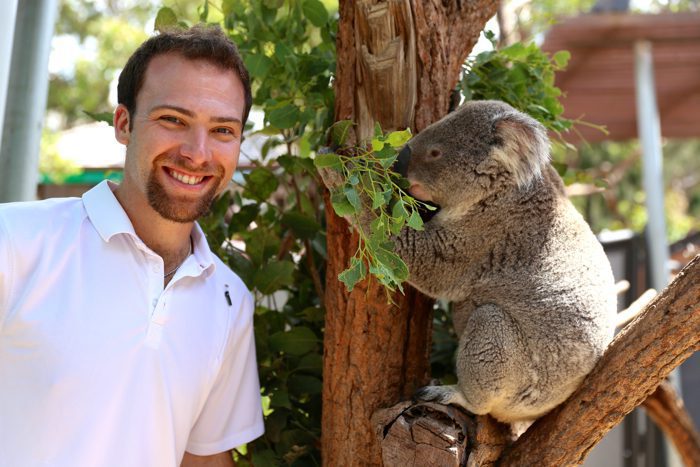 sydney-australia-taronga-zoo-koala-davidsbeenhere