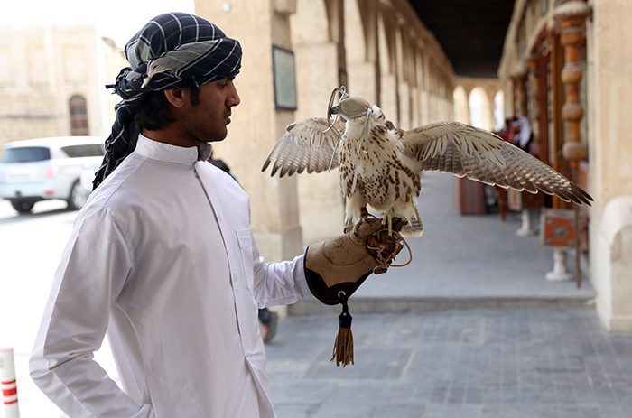 Top_Things_to_See_and_Do_in_Doha_Qatar_Falcon_Souq3
