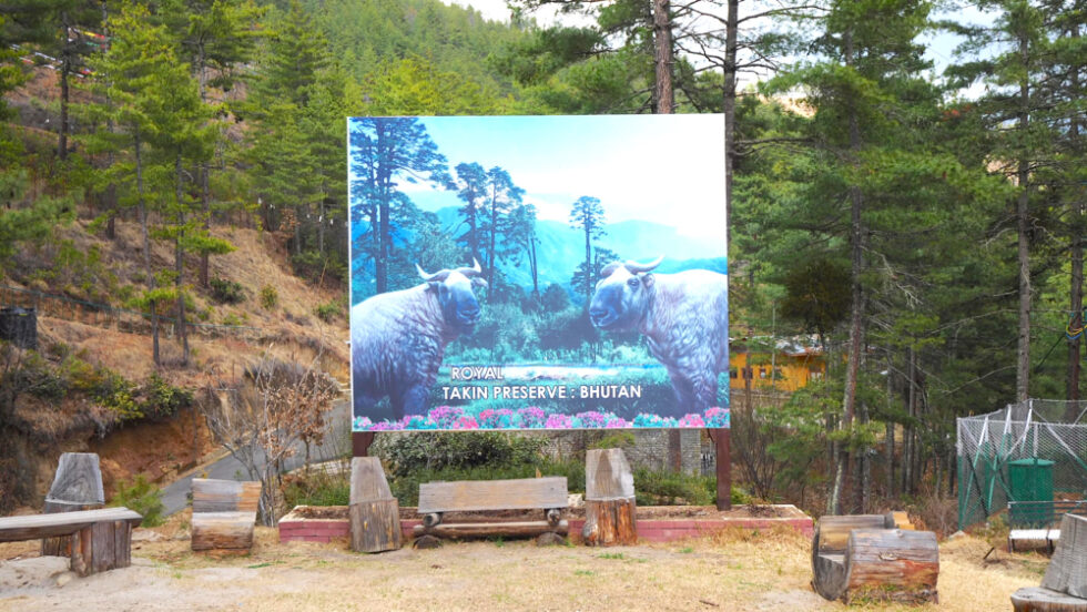 Takin Preserve, Bhutan