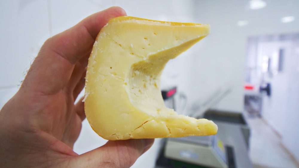 Aged gouda cheese at Taanayel Park and Farms