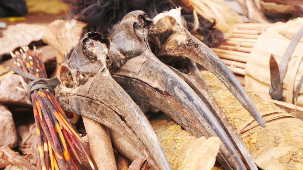 Porcupine quills and hornbill skulls sold at a local market in Tamale | David's Been Here