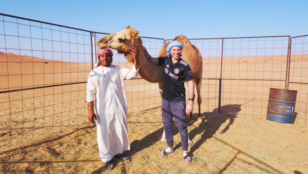 Meeting camels in the Wahiba Sands of Oman
