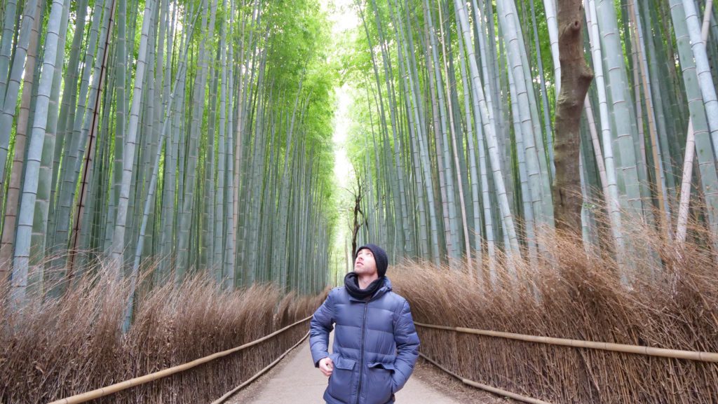 Arashiyama Bamboo Grove is one of the top places to visit in Japan | David's Been Here