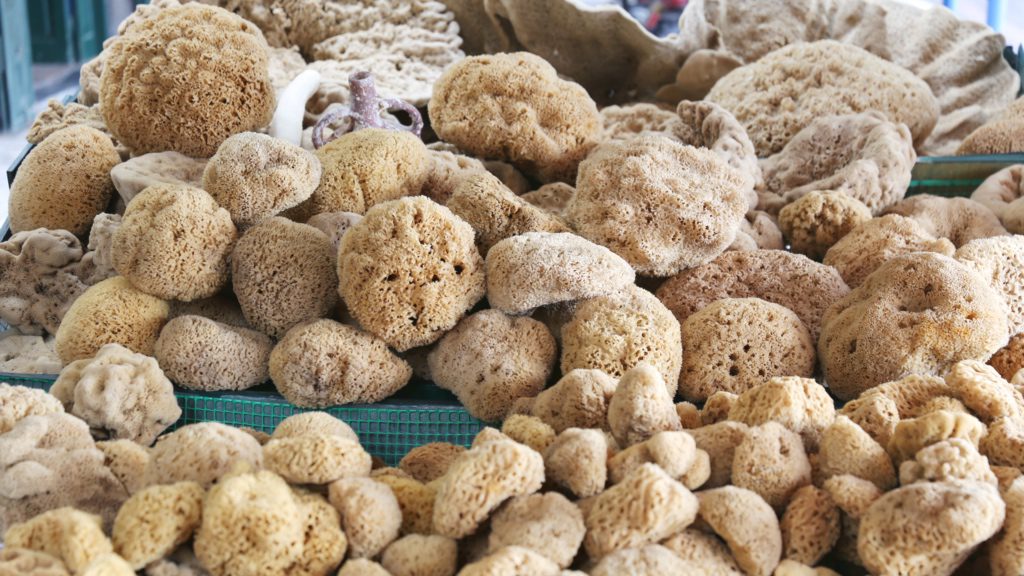 The waters around Kalymnos are well known for their natural sponges | David's Been Here 