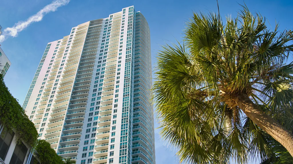 A high-rise condo building in Miami, Florida, with a palm tree in the foreground | Davidsbeenhere
