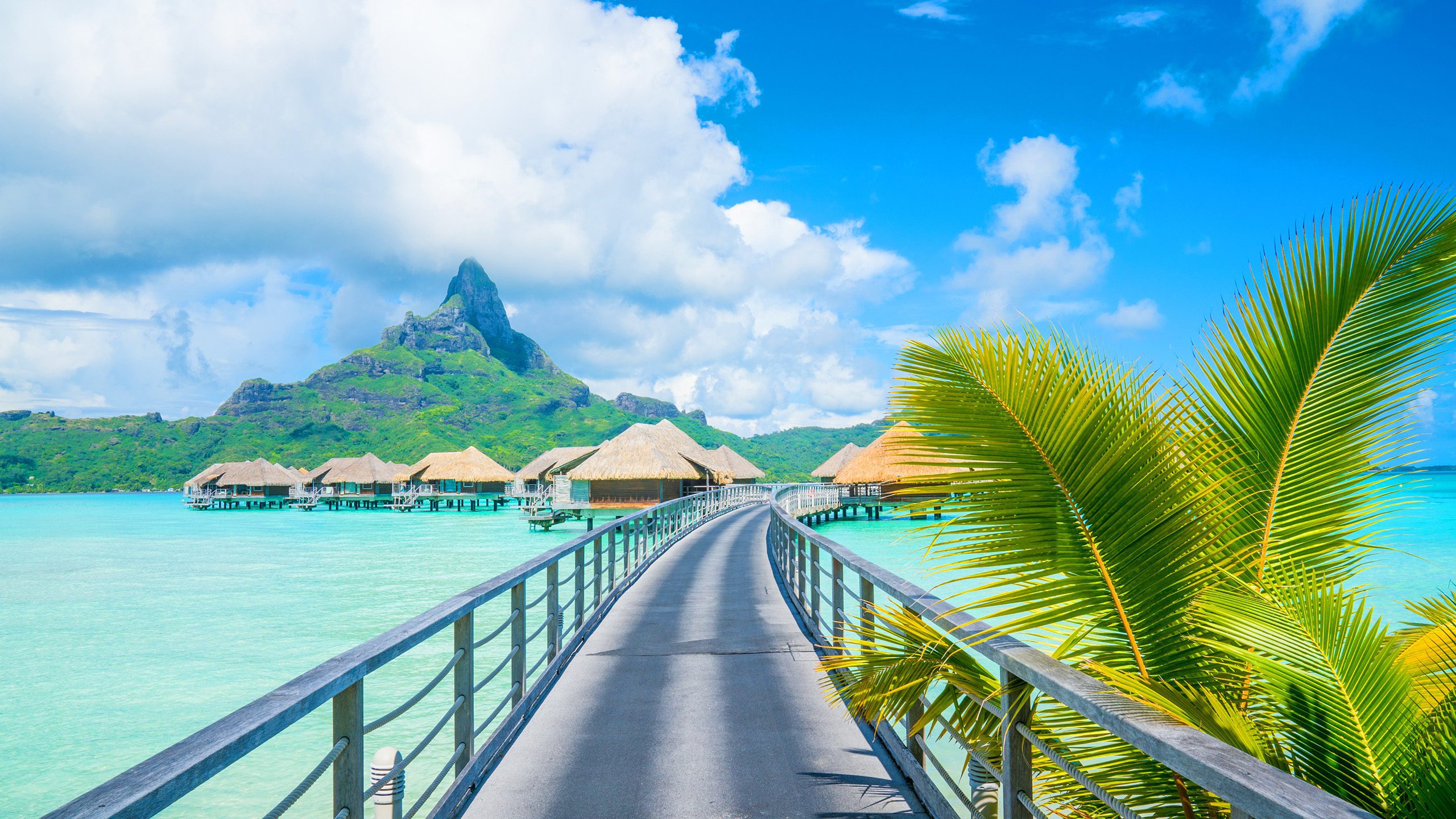 A group of overwater bungalows in Bora Bora | Davidsbeenhere